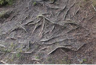 Photo Textures of Nature